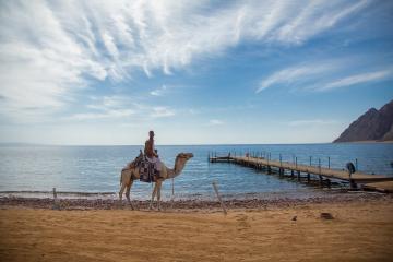 Отель Happy Life Village Египет, Дахаб, фото 29