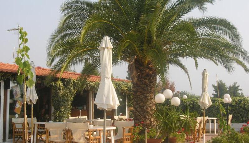 Hotel Haris