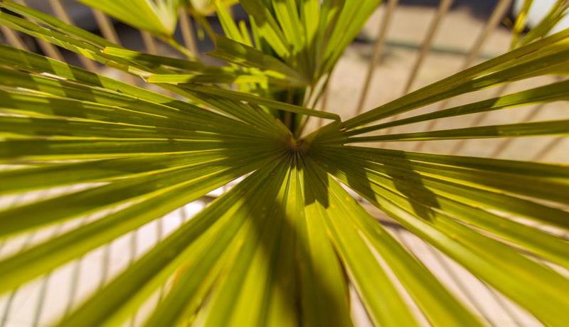 Hotel Havana (ул. 8 Марта)