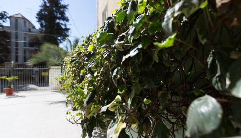 Hotel Havana (ул. 8 Марта)