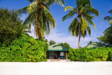 Отель Canareef Resort Maldives Мальдивы, Адду Атолл, фото 11