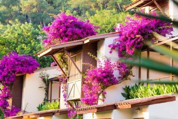 Отель Hillside Beach Club Турция, Фетхие, фото 13