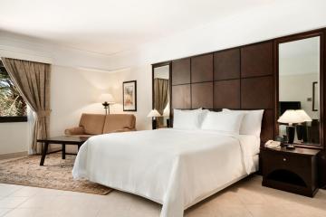 Отель Radisson Blu Hotel & Resort Al Ain ОАЭ, Абу Даби, фото 19