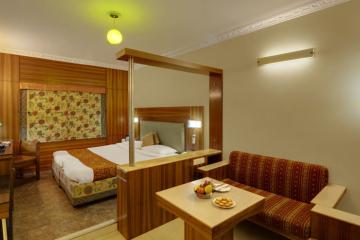 Отель Hotel Amar Индия, Агра, фото 20