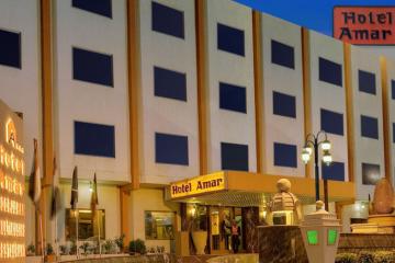 Отель Hotel Amar Индия, Агра, фото 26