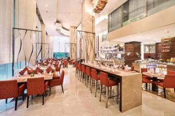 Отель Holiday Inn Mumbai International Airport Индия, Мумбаи (Бомбей), фото 24