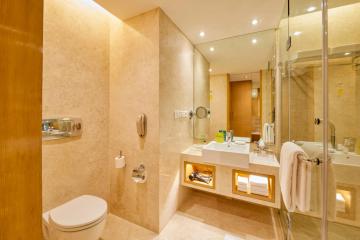 Отель Holiday Inn Mumbai International Airport Индия, Мумбаи (Бомбей), фото 8