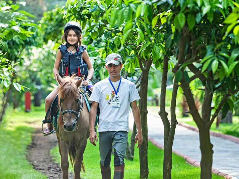 Gypsophila Club Marine