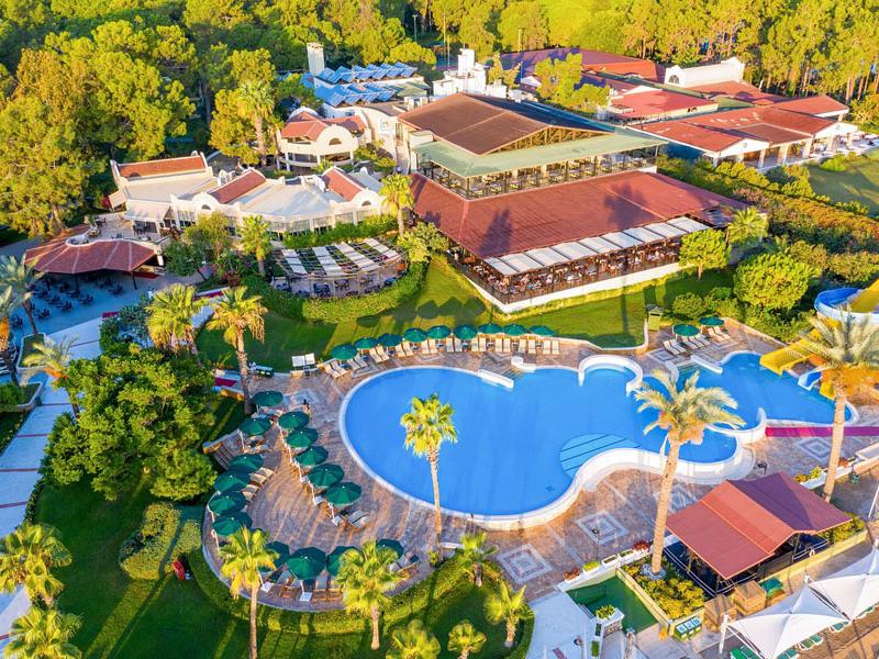 Gypsophila Club Marine