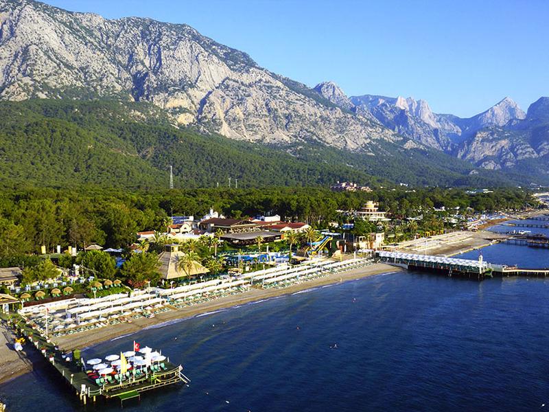 Gypsophila Club Marine