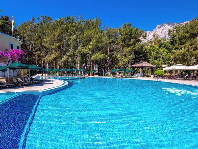 Gypsophila Club Marine