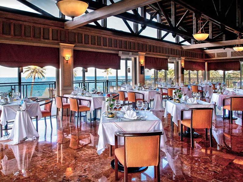 Gypsophila Club Marine