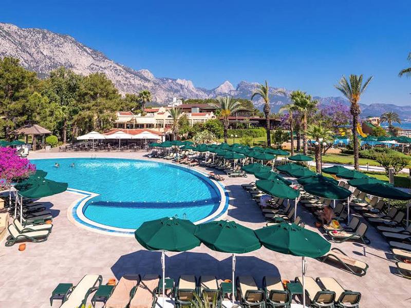 Gypsophila Club Marine