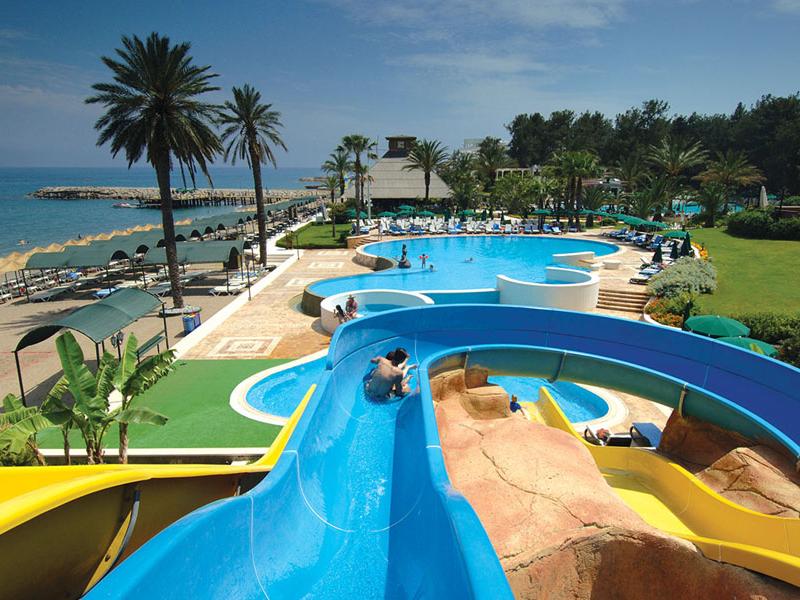 Gypsophila Club Marine