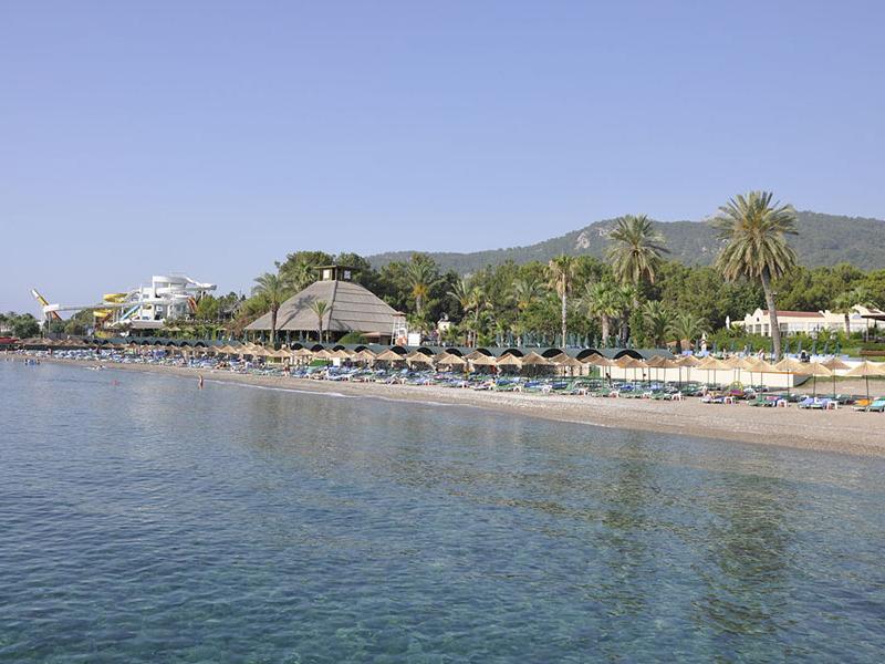 Gypsophila Club Marine