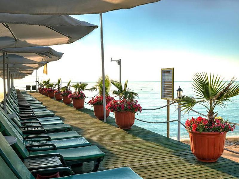 Gypsophila Club Marine