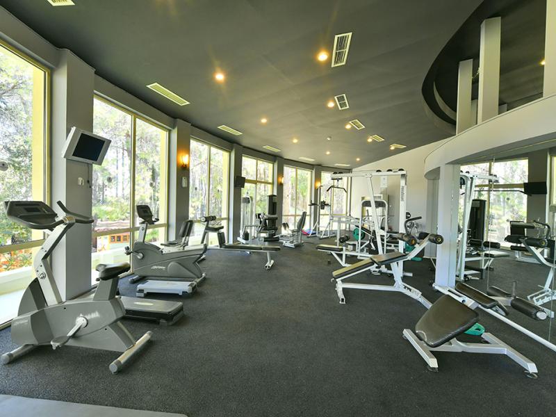 Gypsophila Club Marine