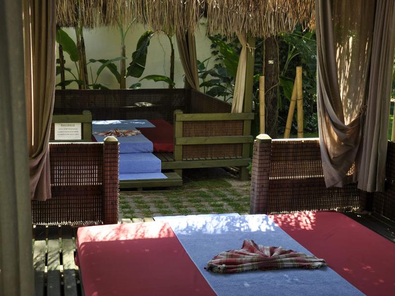 Gypsophila Club Marine