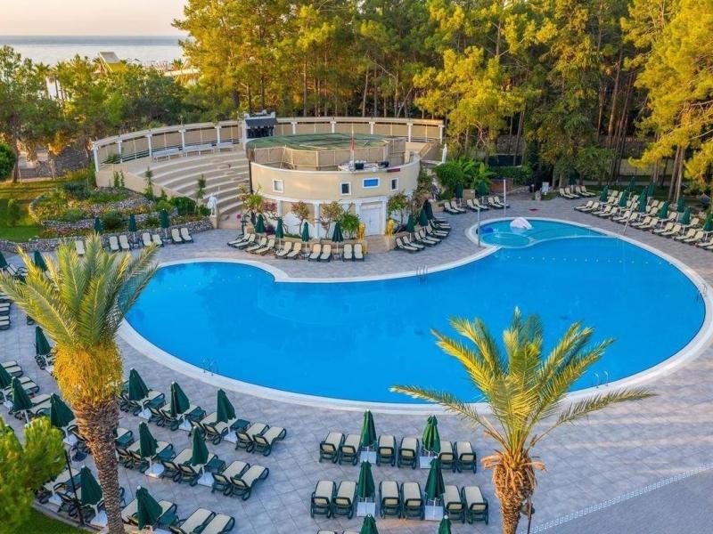 Gypsophila Club Marine