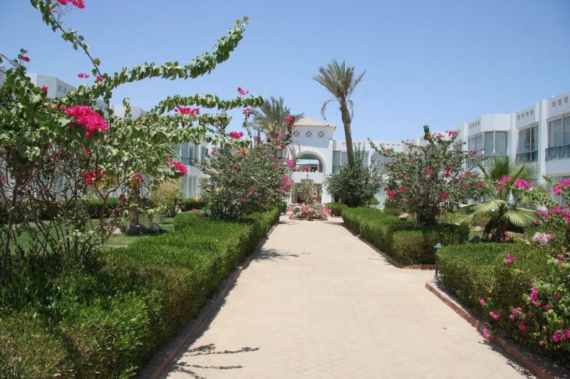 Amarante Garden Palms  