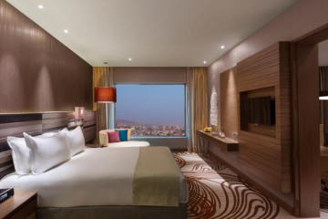 Отель Holiday Inn Jaipur City Centre Индия, Джайпур, фото 2