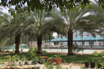 Отель Hotel Al Madinah Holiday Оман, Маскат, фото 18