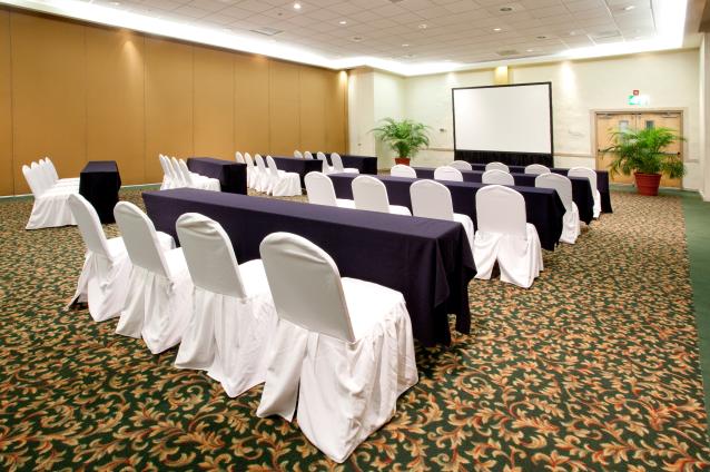 Holiday Inn Puerto Vallarta