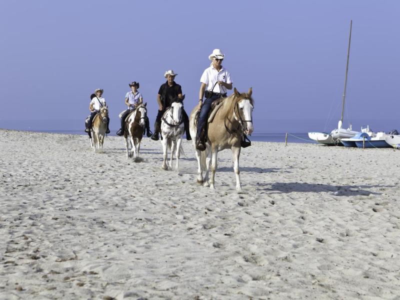 Horse Country Resort Congress & Spa