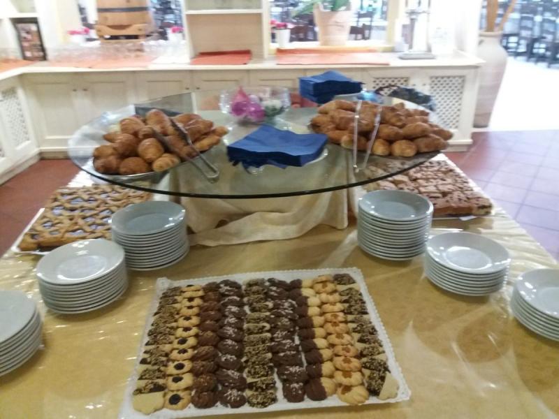 Horse Country Resort Congress & Spa