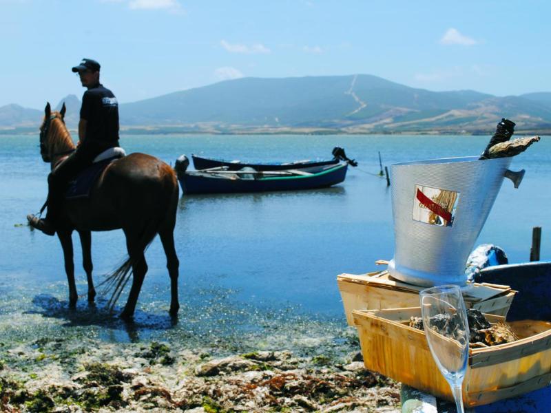 Horse Country Resort Congress & Spa