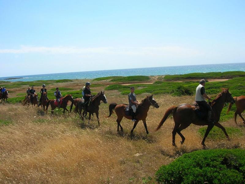 Horse Country Resort Congress & Spa