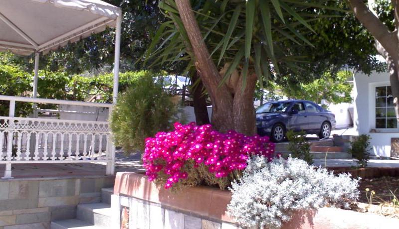 Amazones Villas Apartments