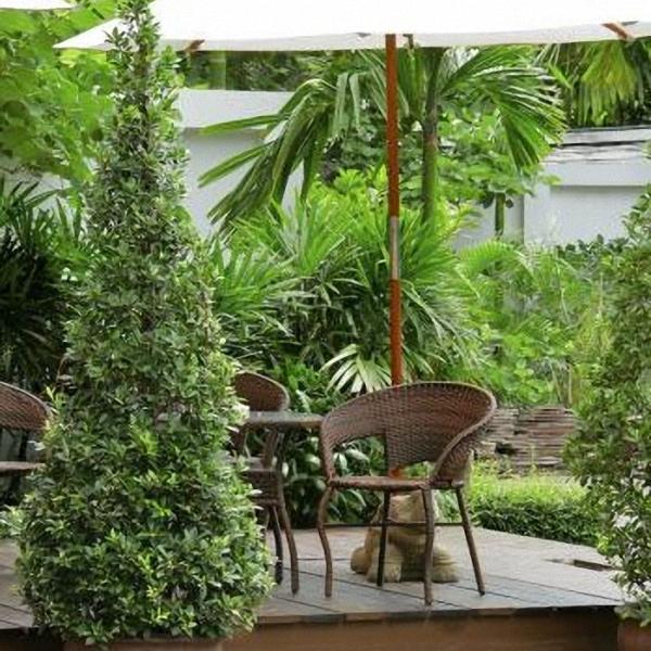 Hotel de Bangkok