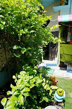 Hua Hin Kings Home