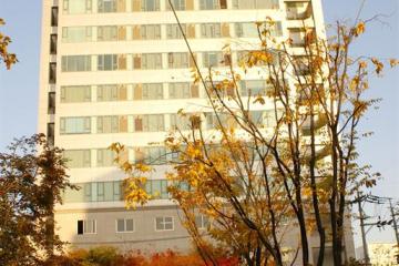 Отель Hyundai Residence Южная Корея, Сеул, фото 7