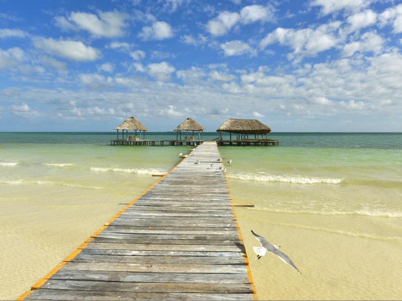 Iberostar Origin Daiquiri