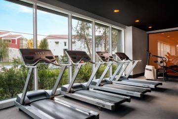 Отель IC Hotels Santai Family Resort Турция, Учкумтепеси, фото 65