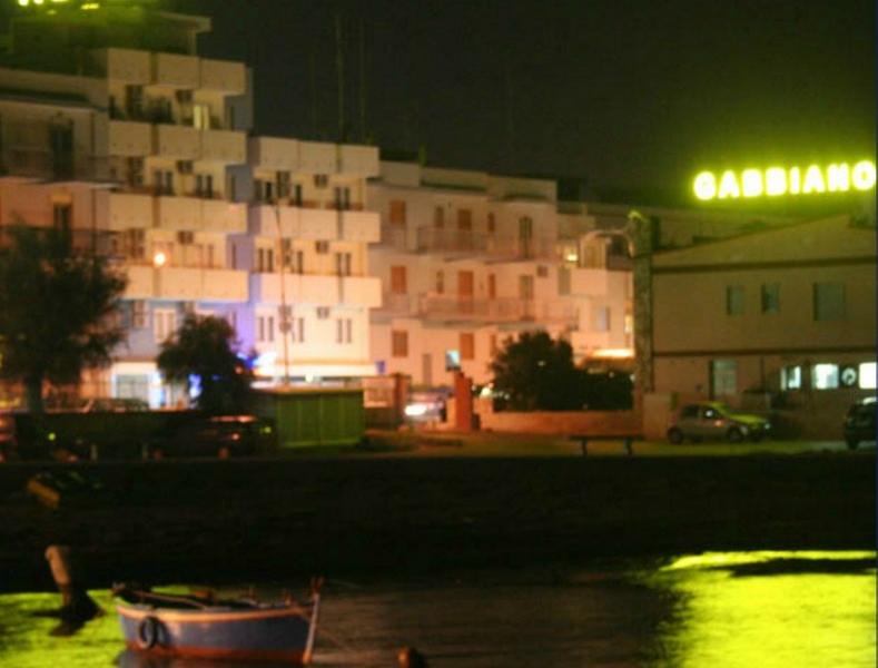 Gabbiano