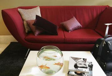 Hotel Midmost Barcelona