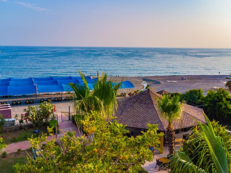 Clover Magic Garden Beach