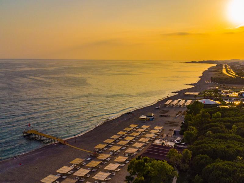 Clover Magic Garden Beach