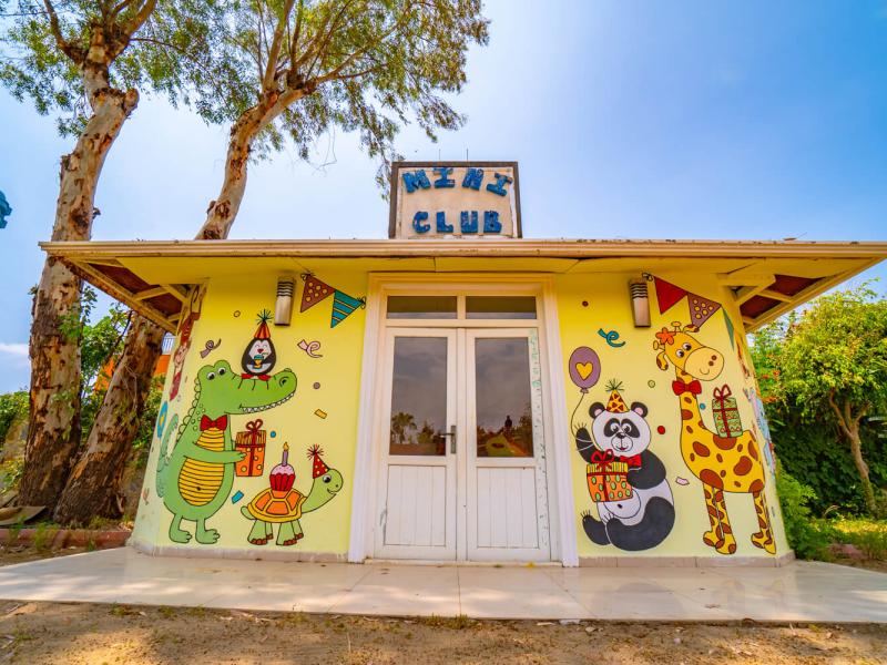 Clover Magic Garden Beach