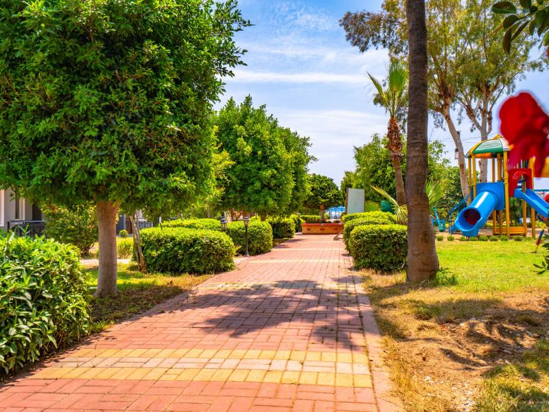 Clover Magic Garden Beach