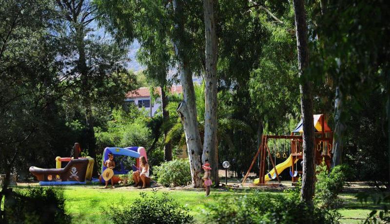 Is Morus Relais