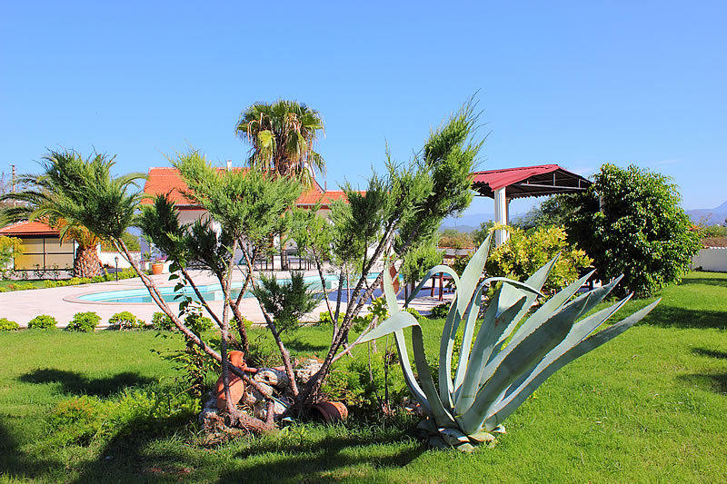 Iztuzu Apart & Villas