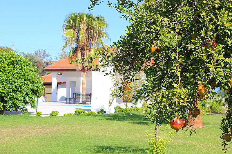 Iztuzu Apart & Villas