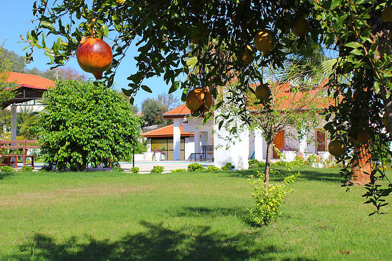 Iztuzu Apart & Villas