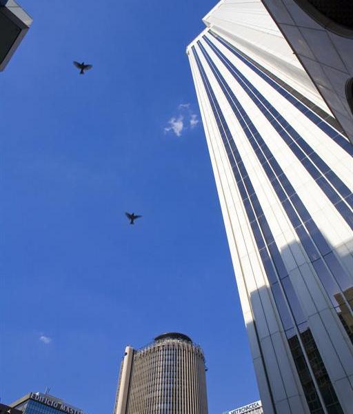 VP Jardin Metropolitano