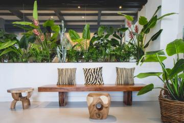 Отель Jardin Tropical Испания, о Тенерифе, фото 38