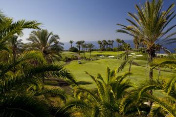 Отель Jardin Tropical Испания, о Тенерифе, фото 40